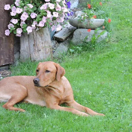 Apartmán Brandnerhof