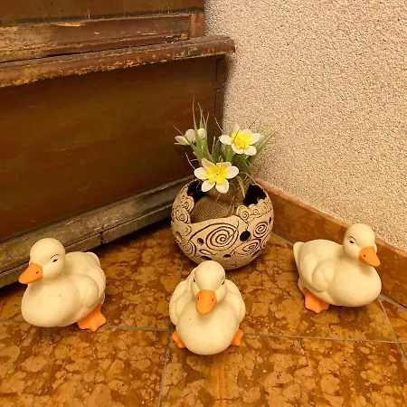 Brandnerhof Bad Hofgastein