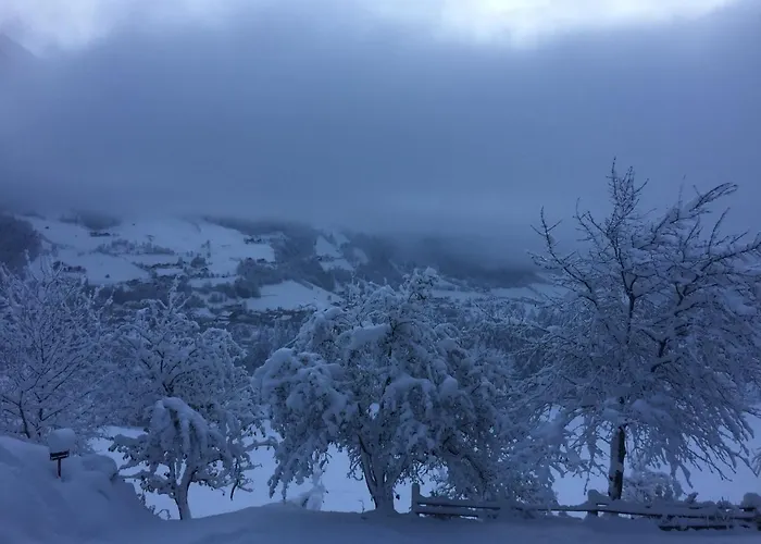 Apartament Brandnerhof *