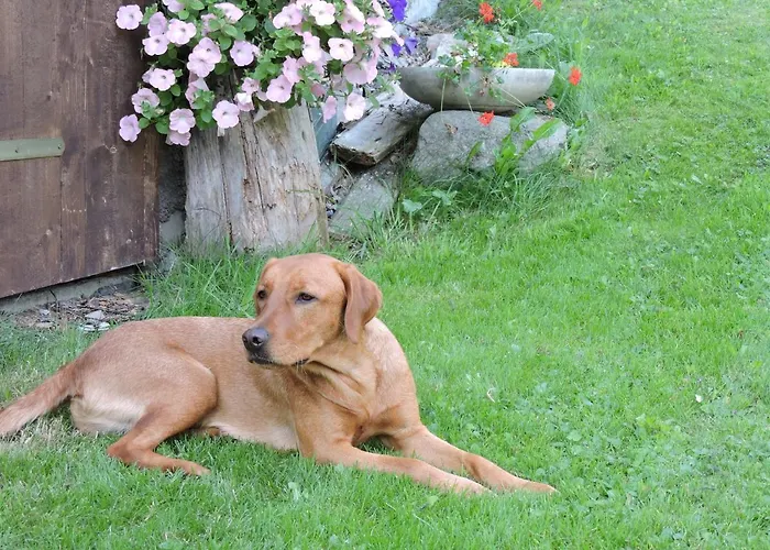 Apartament Brandnerhof